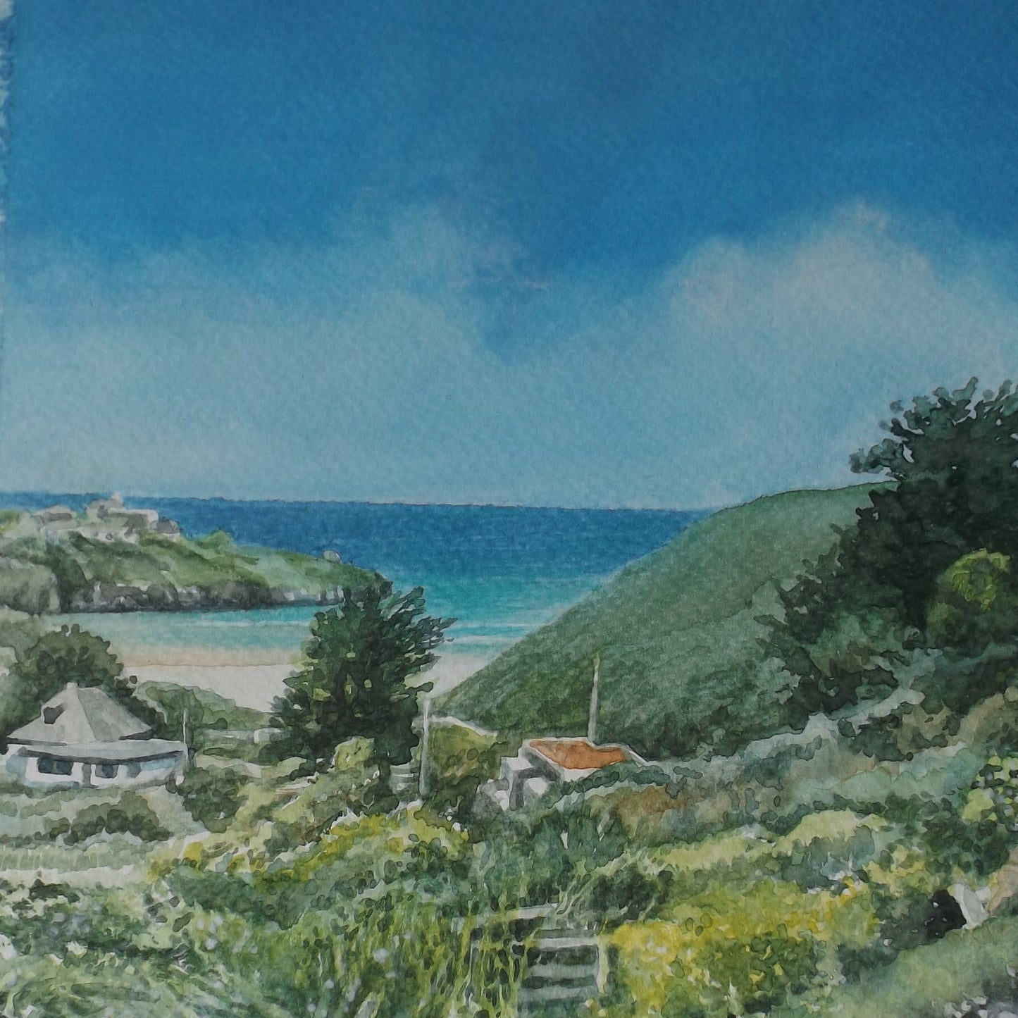 View from the Tredrea Inn
