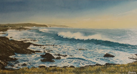 Back surf on waves Booby's Bay
