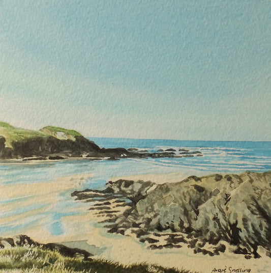 Sunny cove Treyarnon