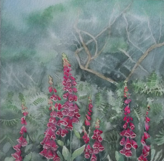 Foxgloves on a misty day